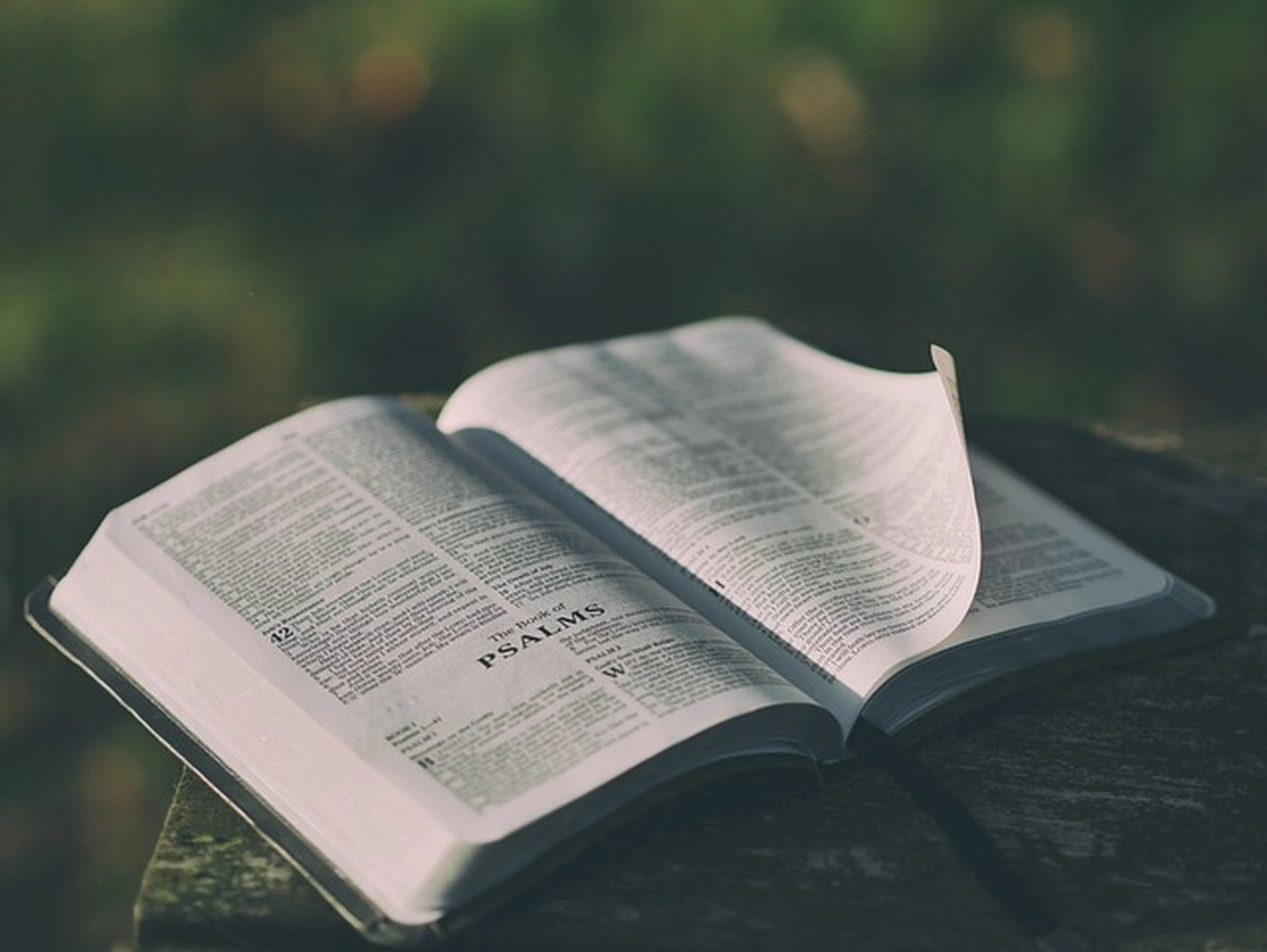 ein offenes Buch von Jesus Disciples Life Ministry e.V.